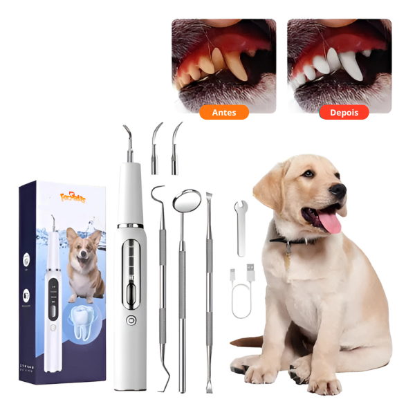 Tratamento Dental Pet | Caneta, Lavizoo e Ultrassônico – ForPatas - Imagem 7