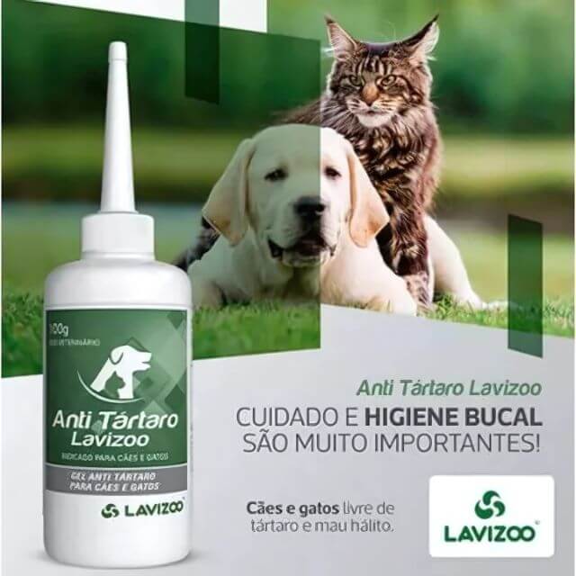 Tratamento Dental Pet | Caneta, Lavizoo e Ultrassônico – ForPatas - Imagem 4