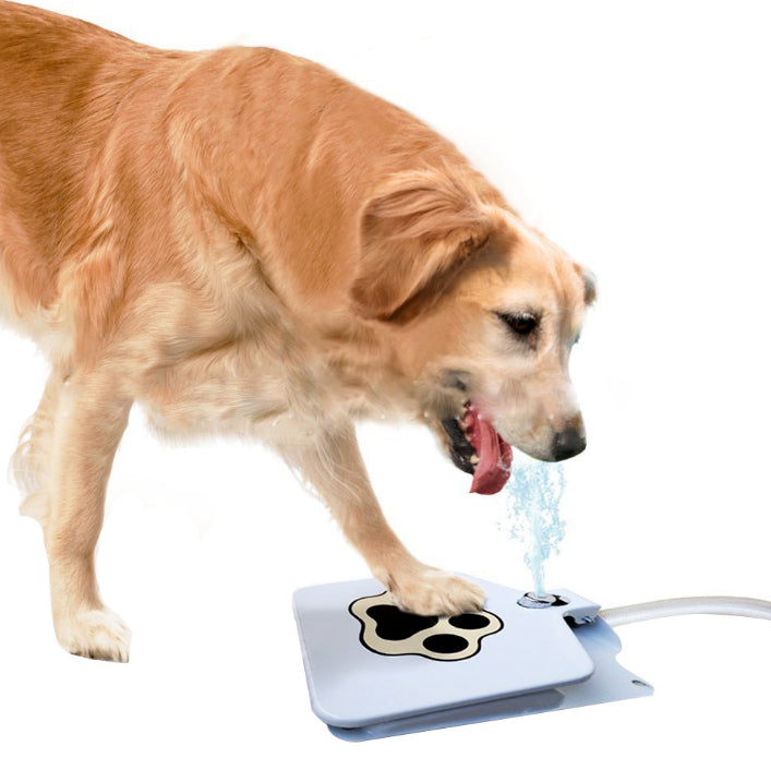 Bebedouro Brinquedo Interativo para Cães de Metal – Água Fresca ao Acionar a Pata | ForPatas - Imagem 5