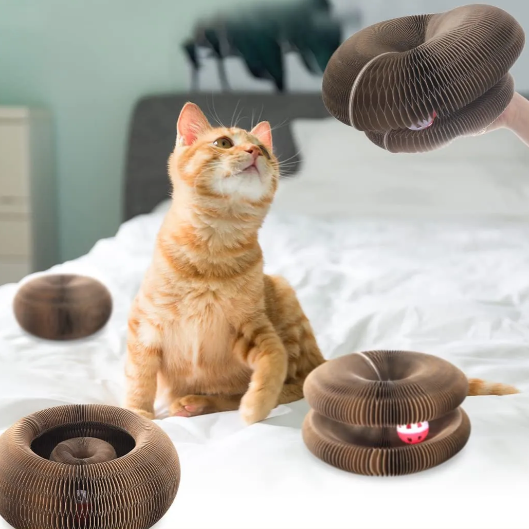 Brinquedo Disco Arranhador com Bolinha – Diversão, Enriquecimento e Alívio do Estresse – Lupzy™ - Imagem 7