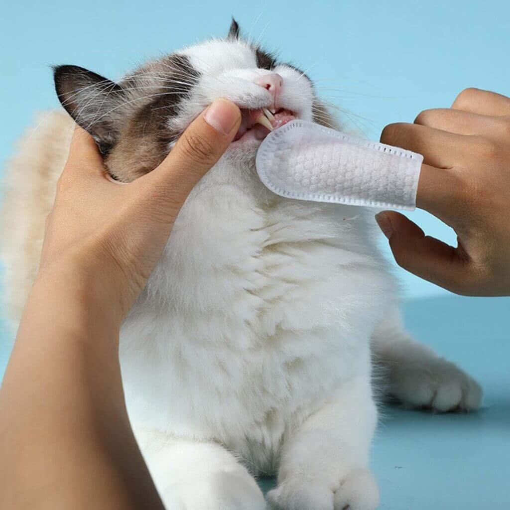 Lenço de Limpeza Dental para Cães e Gatos - Imagem 4