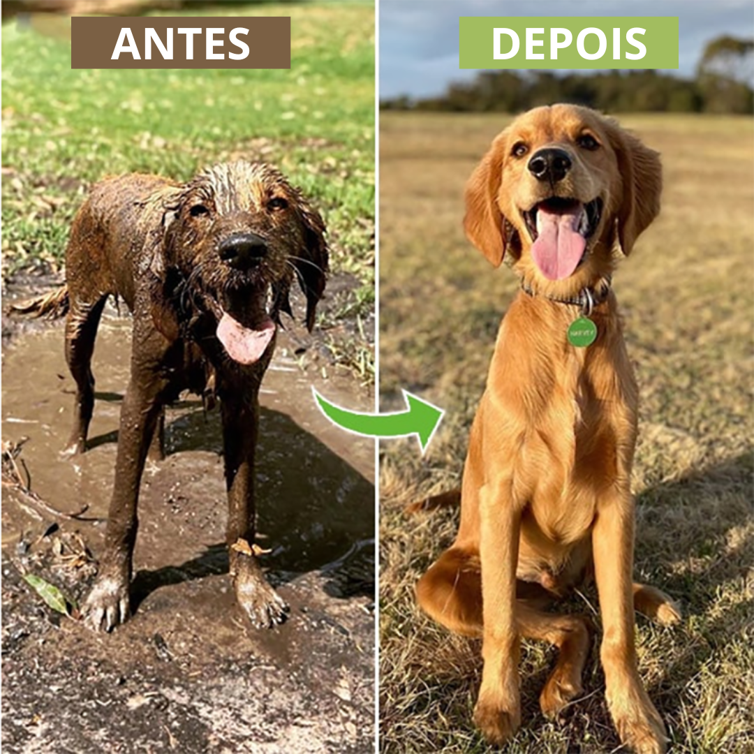 Chuveirinho com Pulverizador de Shampoo – Banho Prático e Econômico para Pets | ForPatas - Imagem 3
