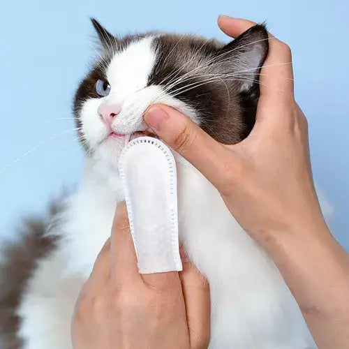 Lenço de Limpeza Dental para Cães e Gatos - Imagem 5