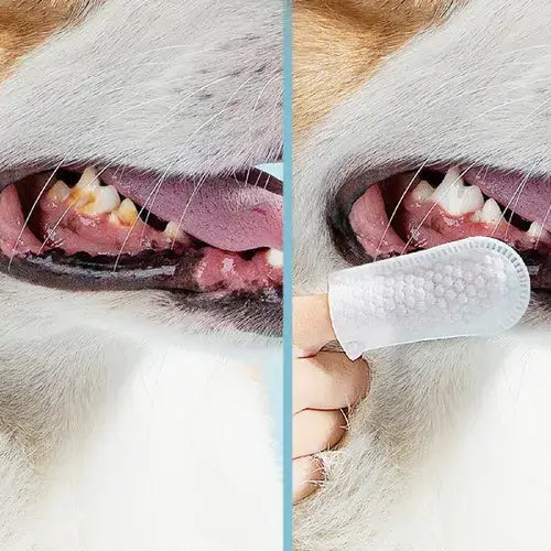 Lenço de Limpeza Dental para Cães e Gatos - Imagem 2