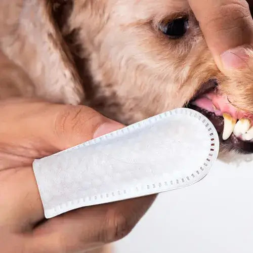 Lenço de Limpeza Dental para Cães e Gatos - Imagem 3
