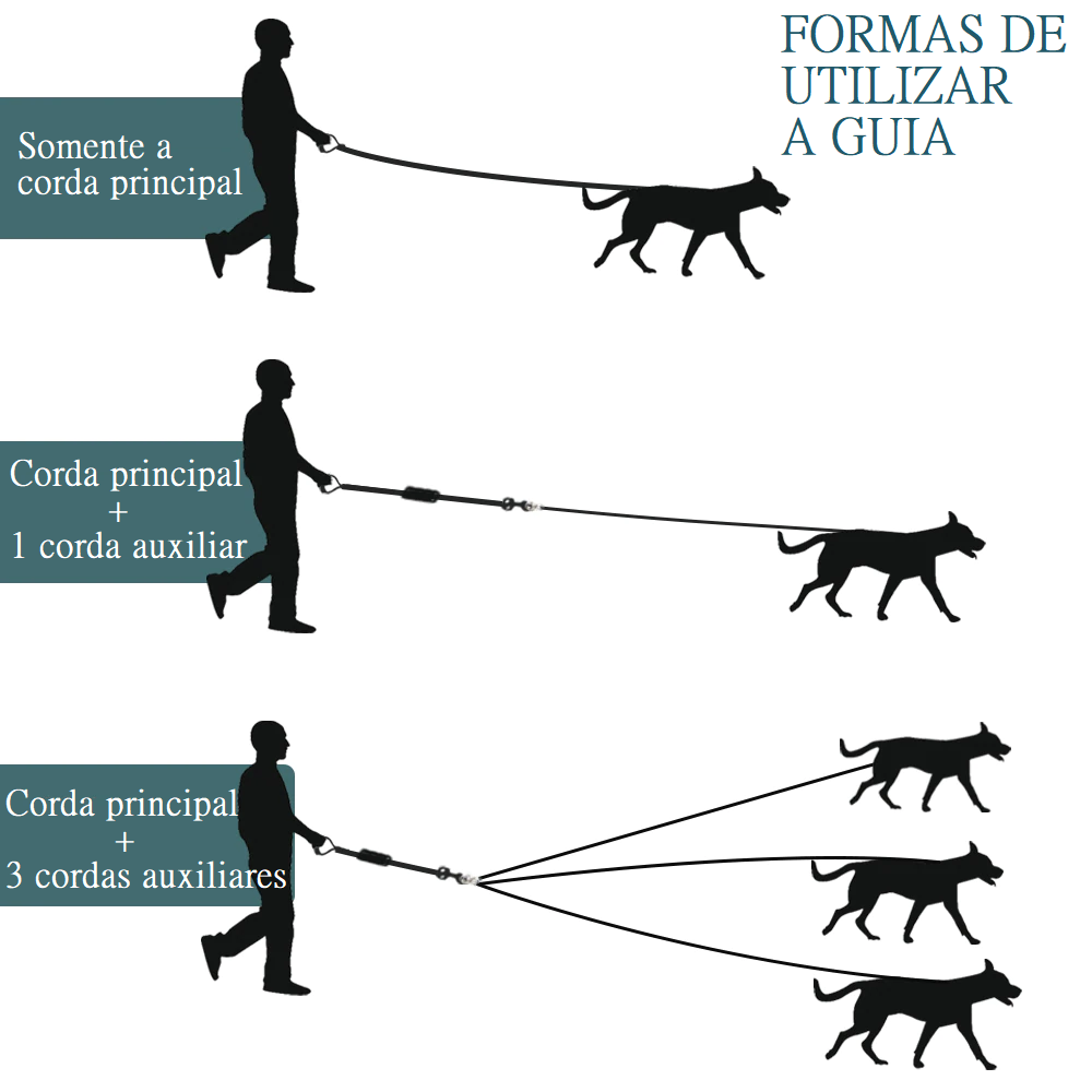 Guia Pet para até 3 Pets