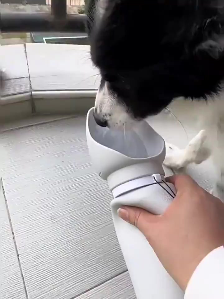 Garrafa Dobrável de Silicone 550 ml para Pets – Woofline™ - Imagem 2