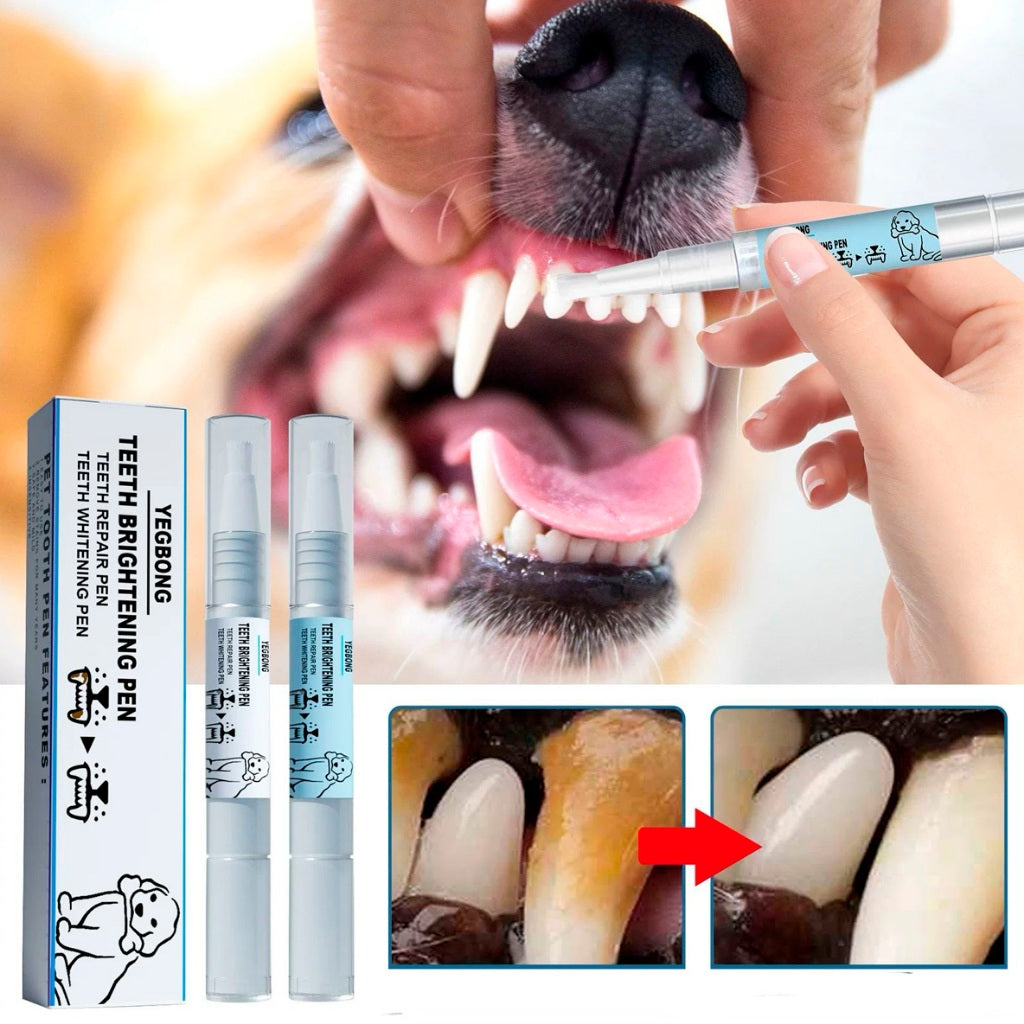 Tratamento Dental Pet | Caneta, Lavizoo e Ultrassônico – ForPatas - Imagem 2
