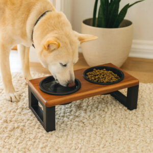 Comedouro Duplo em Madeira Maciça – Tigelas Inox ou Plásticas com Tampa Hermética – ForPatas™