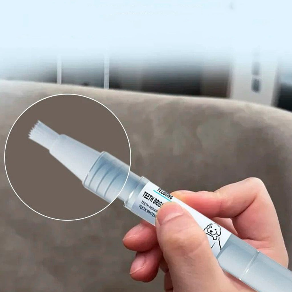 Tratamento Dental Pet | Caneta, Lavizoo e Ultrassônico – ForPatas - Imagem 3