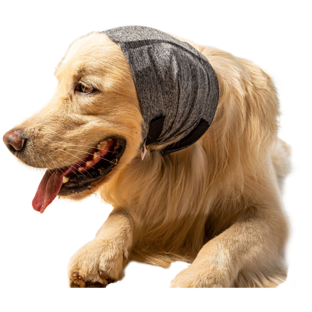 Protetor Auricular para Cães Antirruído & Pós-Cirúrgico – Pet Designer™ | Proteção Contra Fogos e Otites - Imagem 2