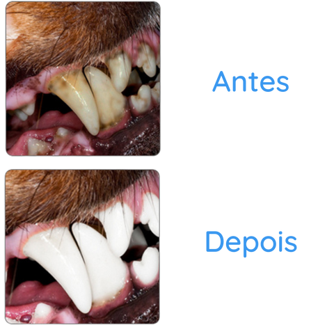 Antes e depois da higiene dental com brinquedo de corda