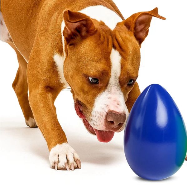 Brinquedo Mordedor Ovo Maluco para Cães – Barkify™ | Movimento Irregular e Alta Resistência - Imagem 4