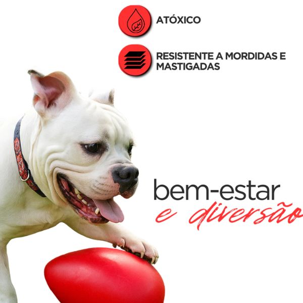 Brinquedo Mordedor Ovo Maluco para Cães – Barkify™ | Movimento Irregular e Alta Resistência - Imagem 2