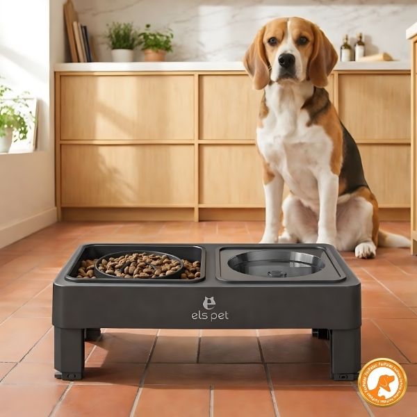 Alimentador Premium Elevado, Ajustável e Multifuncional com Comedouro Lento - Furrish™ - Imagem 4