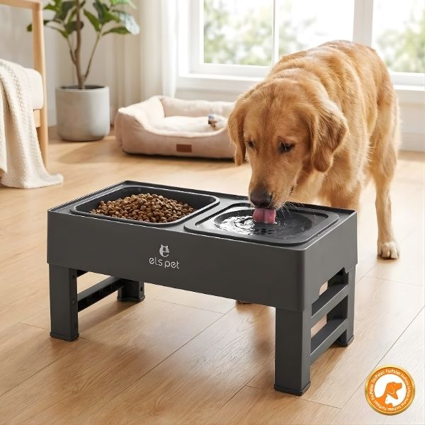 Alimentador Premium Elevado, Ajustável e Multifuncional com Comedouro Lento - Furrish™ - Imagem 3