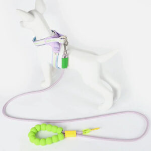 Guia 3 em 1 Elástica Ajustável com Porta-Saquinhos para Cachorro e Gato 185cm Pawslove™