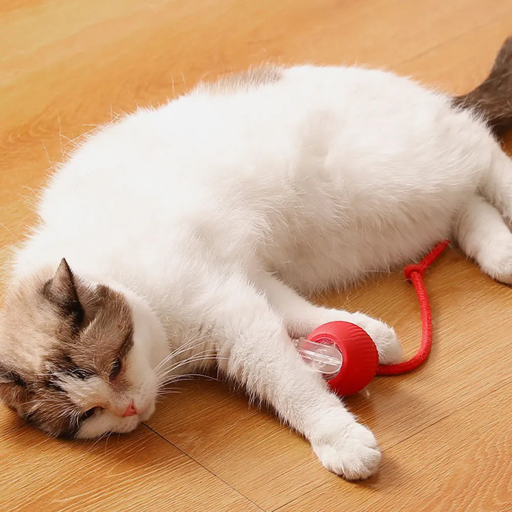 Bolinha automática com sensor