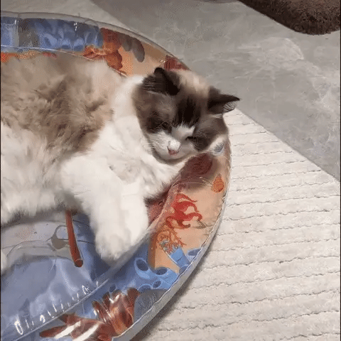 tapete refrigerante sensorial gato cão verão