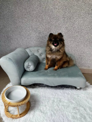 Cama Sofá Recamier em Suede para Cachorro e Gato com Strass Lupzy