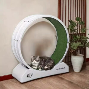 Roda de Exercício Indoor Silenciosa com Varinha para Cachorro e Gato até 15kg