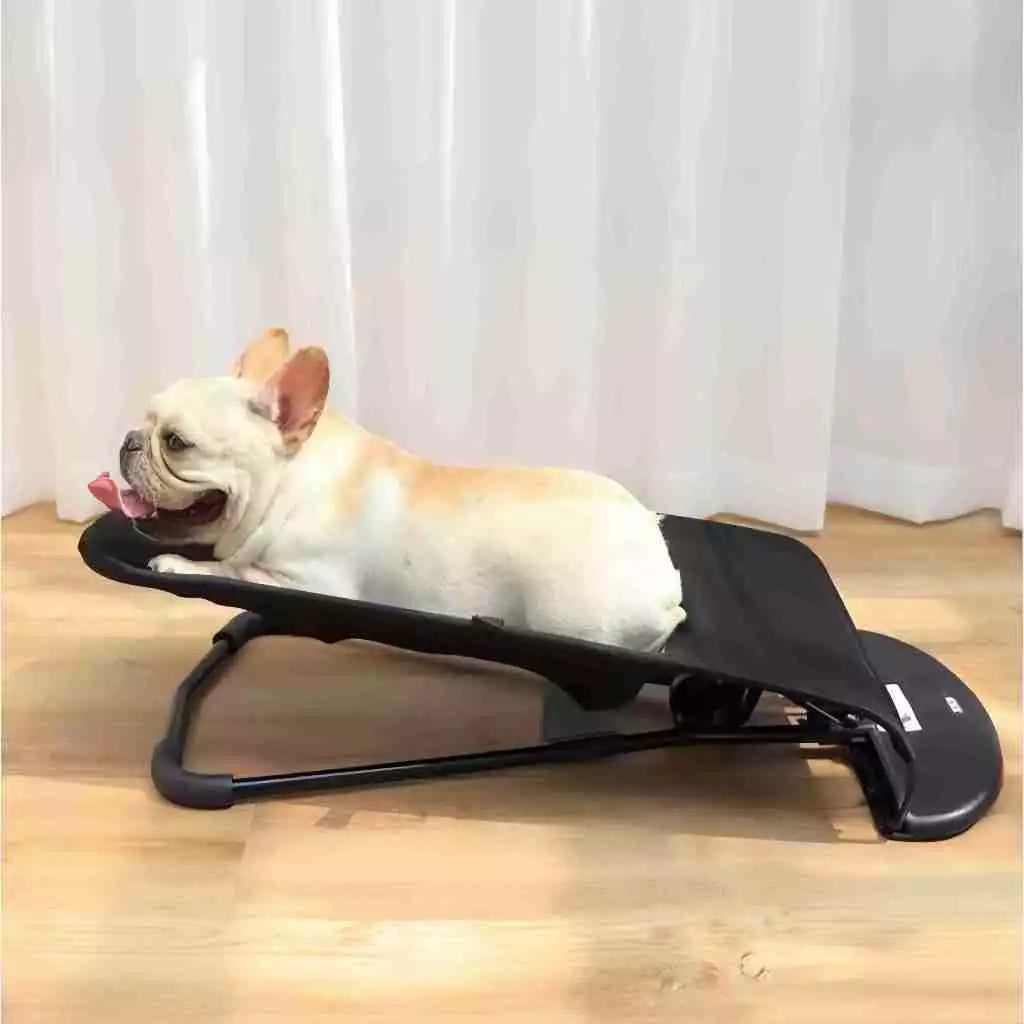 Cama Balanço em Tela Preta para Cães e Gatos Pequenos e Médios – Snouty™ | Conforto Suspenso e Relaxamento Diário - Imagem 2