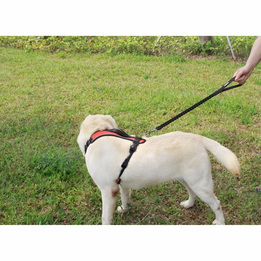 Guia Flexo - Snouty™ - Imagem 3