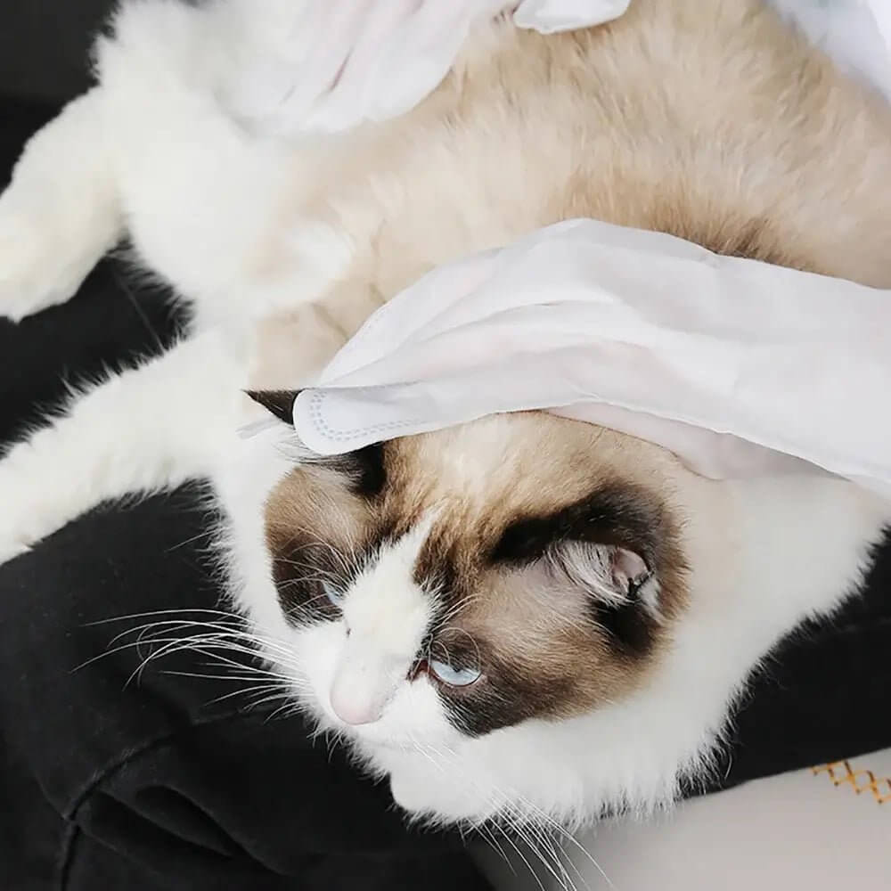 Luva Umedecida com Vitamina E – Banho a Seco e Pele Hidratada ForPatas™ - Imagem 6