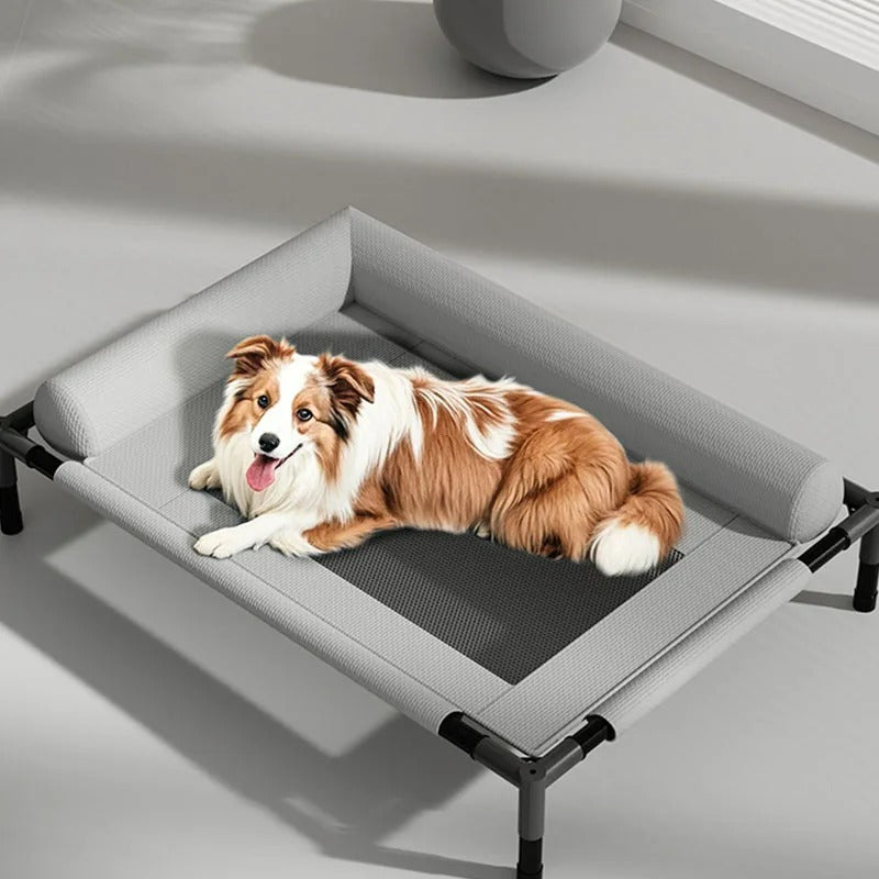 Cama elevada para pets com design moderno Lupzy