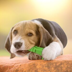 Mordedor para Cachorro - Muttly™