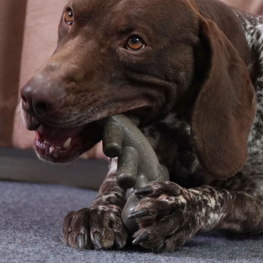 Mordedor Pet Lagosta Ultra Resistente - Woofline™ - Imagem 6