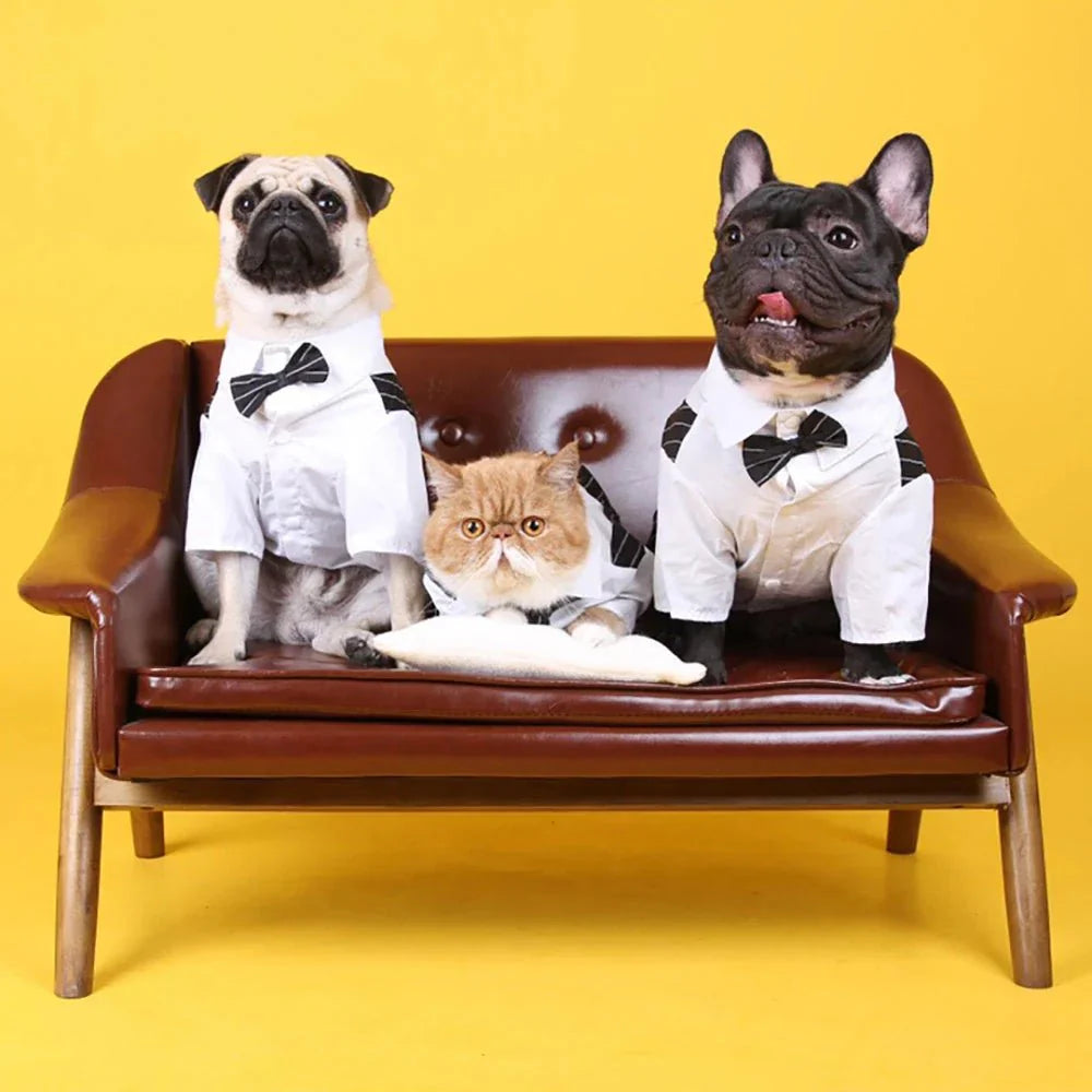 Roupa Estilo Terno Elegante Para Pet - Barkify™ - Imagem 8