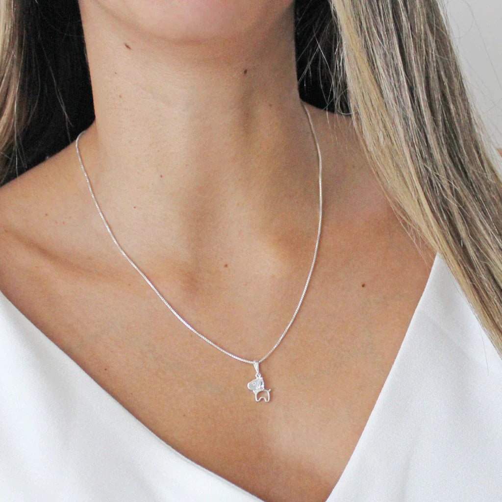 Colar Cachorro com Zircônias em Prata 925 – Lupzy™ | Brilho e Amor Pet - Imagem 3