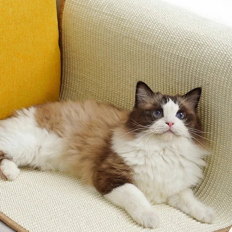 Tapete Arranhador - Furrish™ - Imagem 11