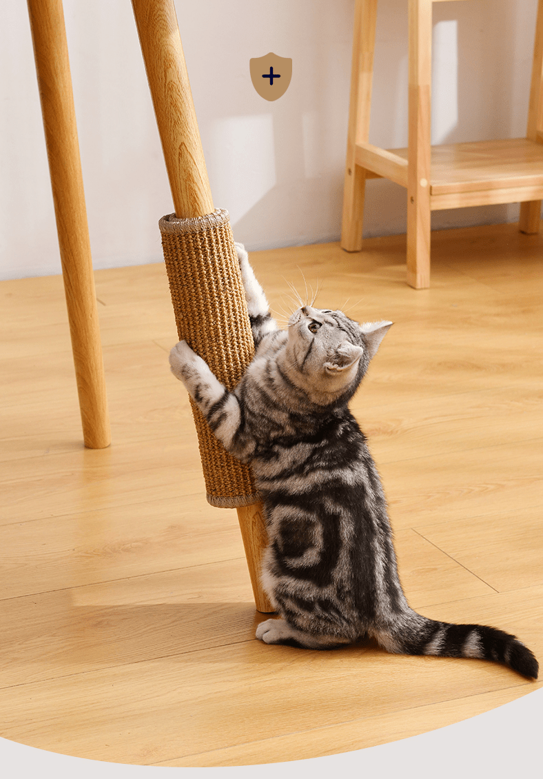 Tapete Arranhador - Furrish™ - Imagem 9